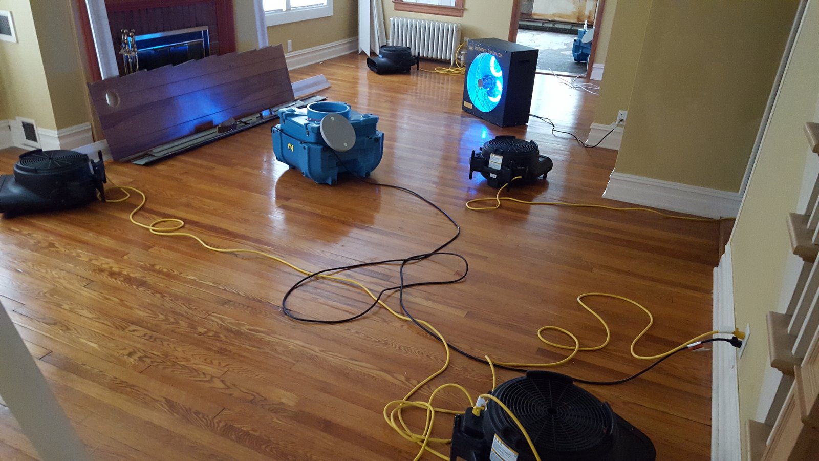 Musty odor mold in home Connecticut